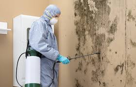 Why You Should Choose Our Mold Remediation Services in West Freehold, NJ